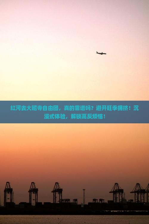 红河去西藏大昭寺自由团