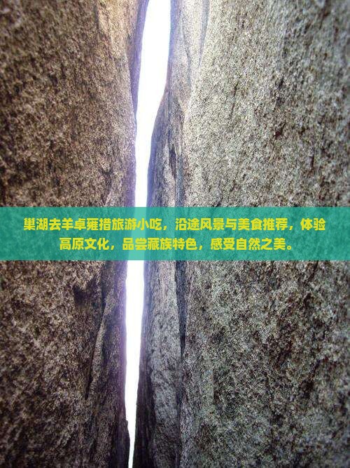 巢湖去西藏羊卓雍措旅游小吃