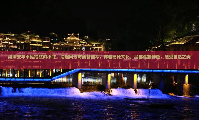 巢湖去西藏羊卓雍措旅游小吃