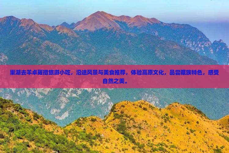 巢湖去西藏羊卓雍措旅游小吃