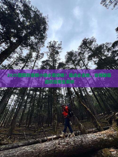 醴陵到西藏鲁朗小镇必去地
