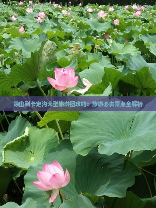凉山到西藏卡定沟大型旅游团