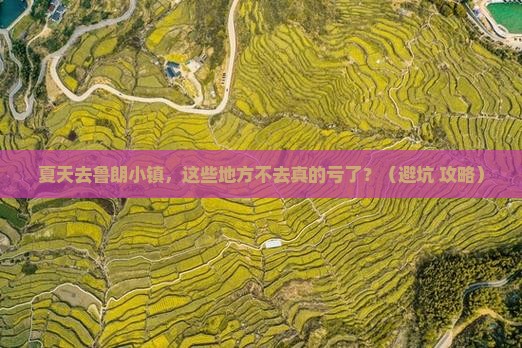 夏天去西藏鲁朗小镇必去地