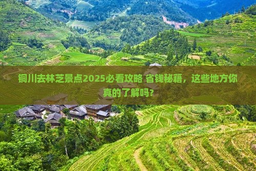 铜川去西藏林芝景点