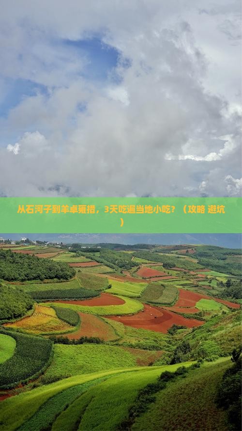 石河子到西藏羊卓雍措旅游小吃