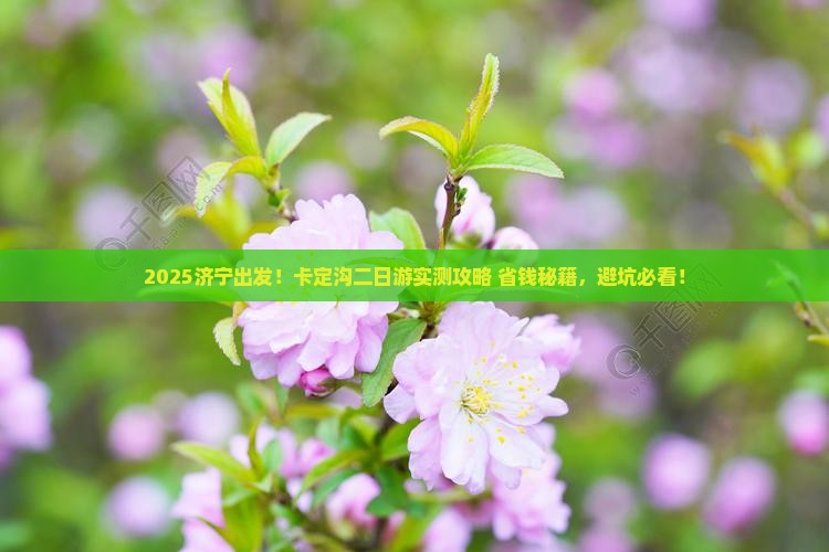 济宁去西藏卡定沟二日游