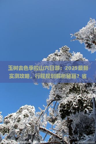 玉树去西藏色季拉山六日游