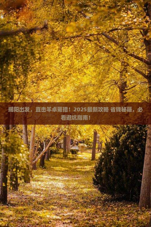 揭阳去西藏羊卓雍措哪里玩