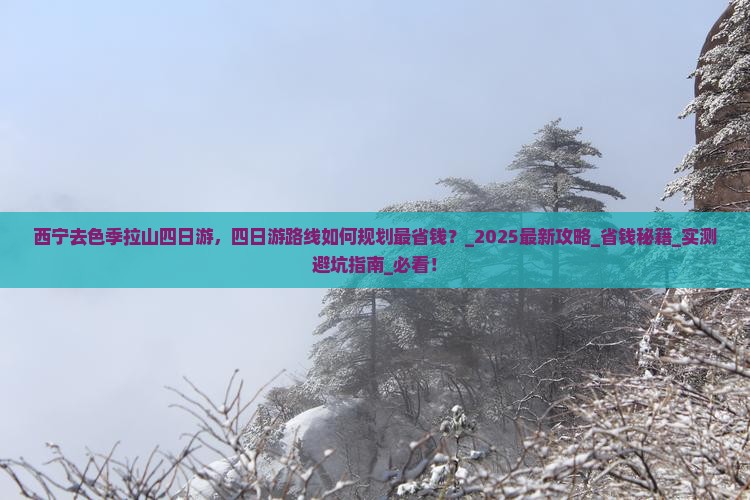 西宁去西藏色季拉山四日游