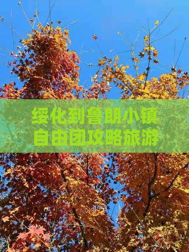 绥化到西藏鲁朗小镇自由团