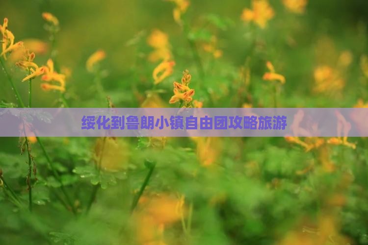 绥化到西藏鲁朗小镇自由团