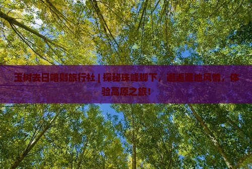 玉树去西藏日喀则旅行社