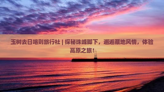 玉树去西藏日喀则旅行社