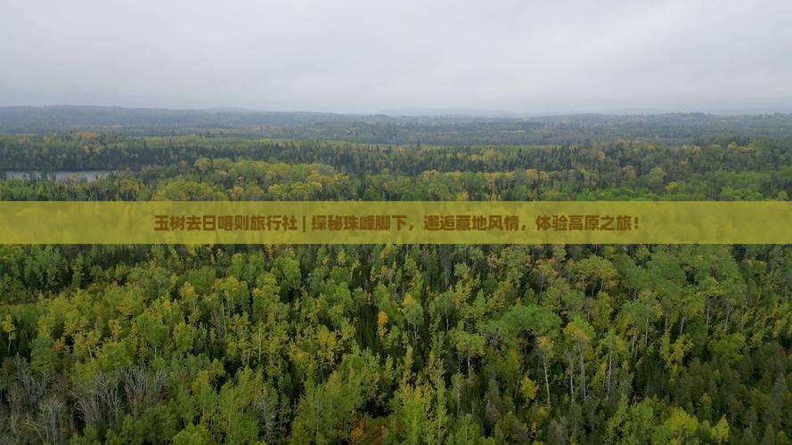 玉树去西藏日喀则旅行社