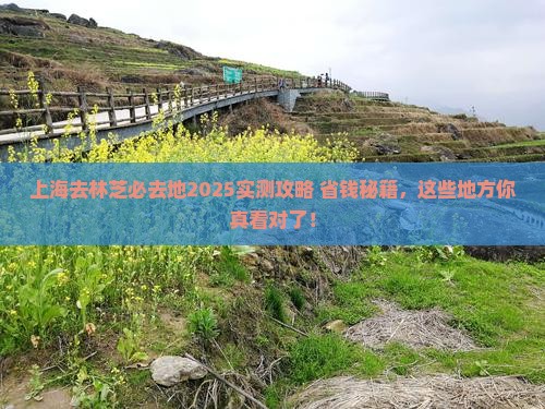 上海去西藏林芝必去地