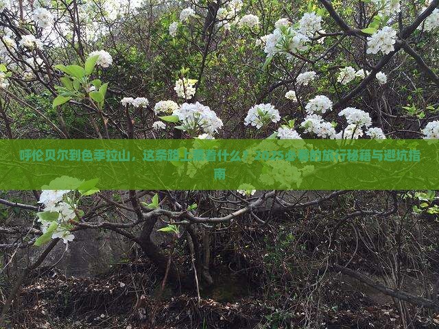呼伦贝尔到西藏色季拉山旅游