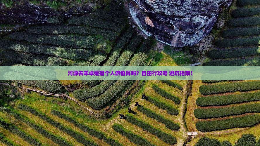 河源去西藏羊卓雍措个人游