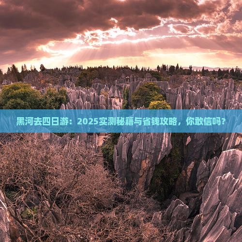 黑河去西藏四日游