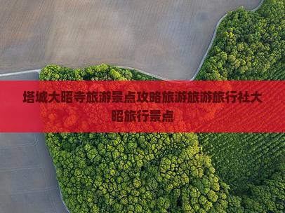 塔城去西藏大昭寺旅行社