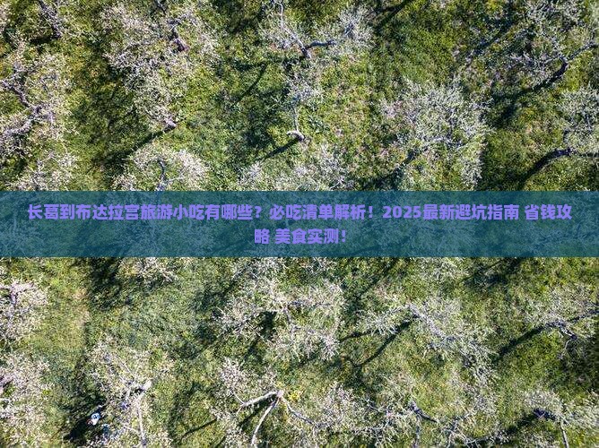 长葛到西藏布达拉宫旅游小吃