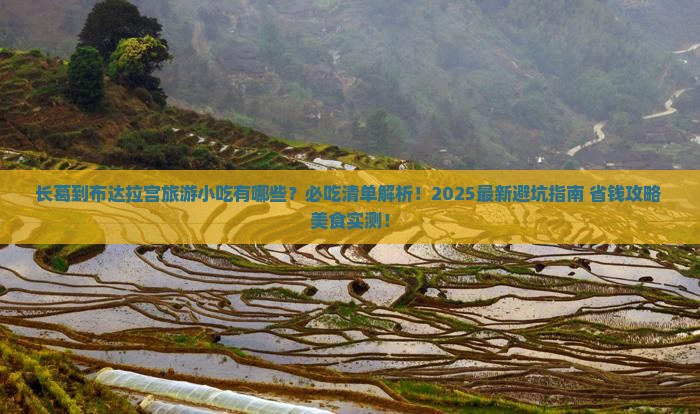 长葛到西藏布达拉宫旅游小吃