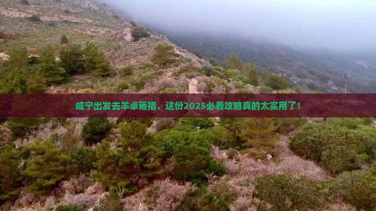 咸宁到西藏羊卓雍措旅行社