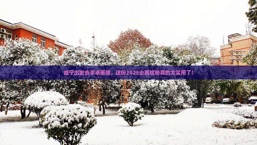 咸宁到西藏羊卓雍措旅行社