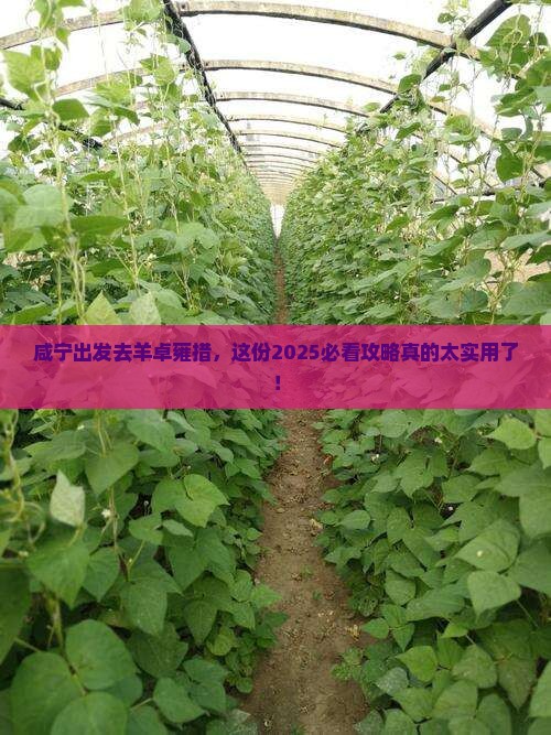 咸宁到西藏羊卓雍措旅行社