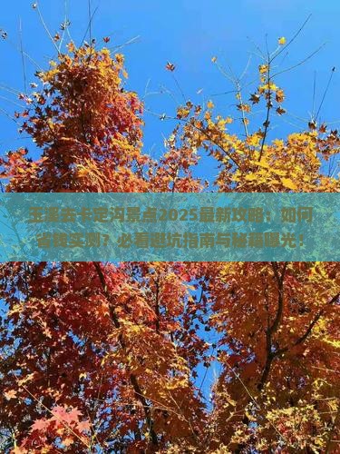 玉溪去西藏卡定沟景点