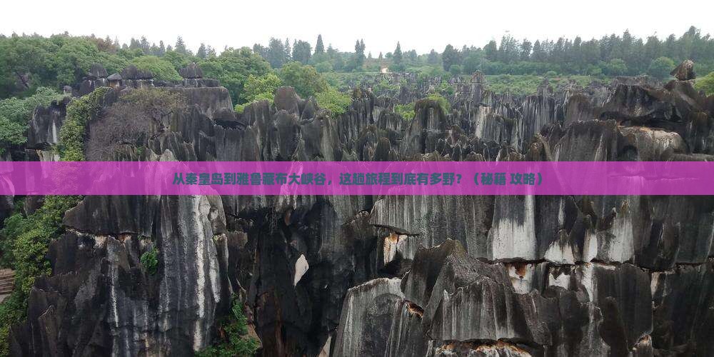 秦皇岛到西藏雅鲁藏布大峡谷景点