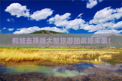 桐城去西藏珠峰大本营大型旅游团