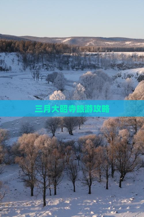 三月去西藏大昭寺个人游