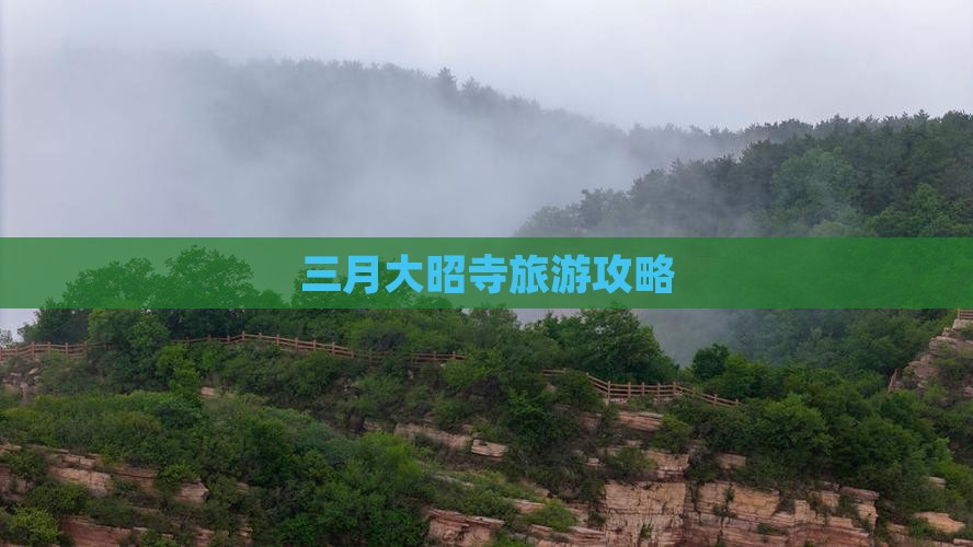 三月去西藏大昭寺个人游