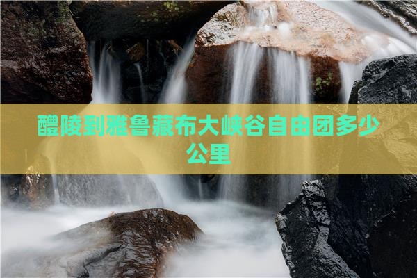 醴陵到西藏雅鲁藏布大峡谷自由团