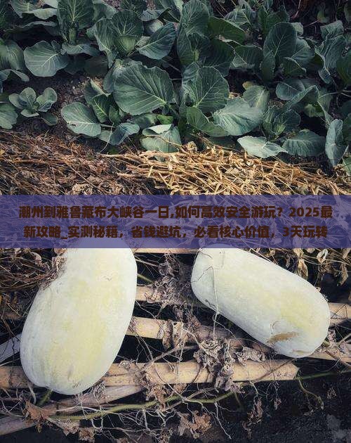 潮州到西藏雅鲁藏布大峡谷一日