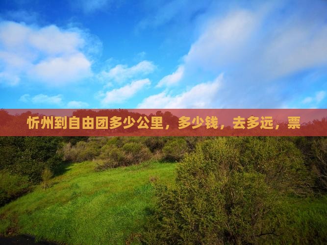 忻州到西藏自由团
