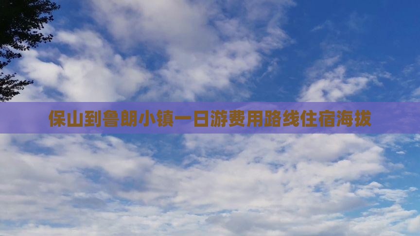 保山到西藏鲁朗小镇一日