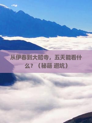 伊春到西藏大昭寺五日游