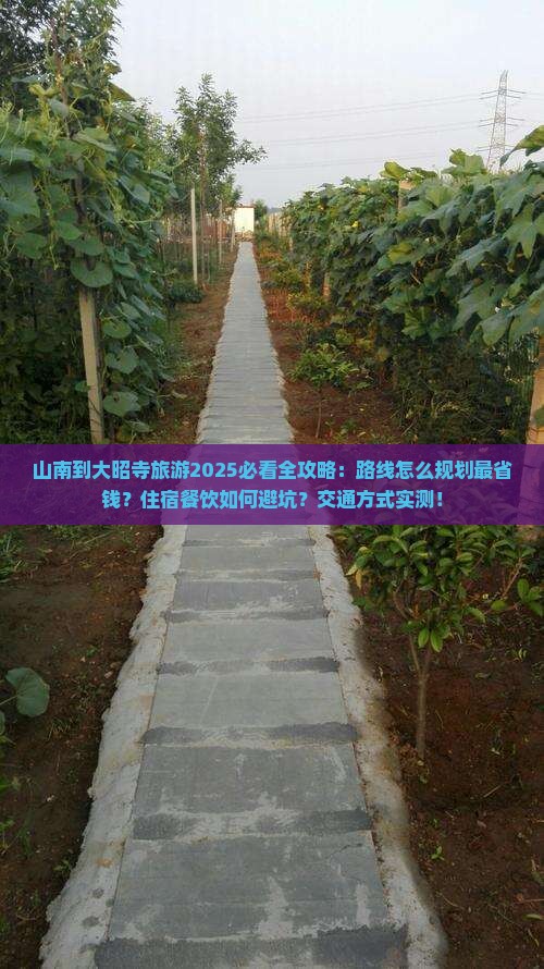 山南到西藏大昭寺旅游