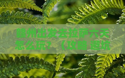 赣州去西藏拉萨六日游