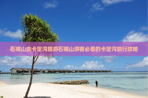 石嘴山去西藏卡定沟旅游