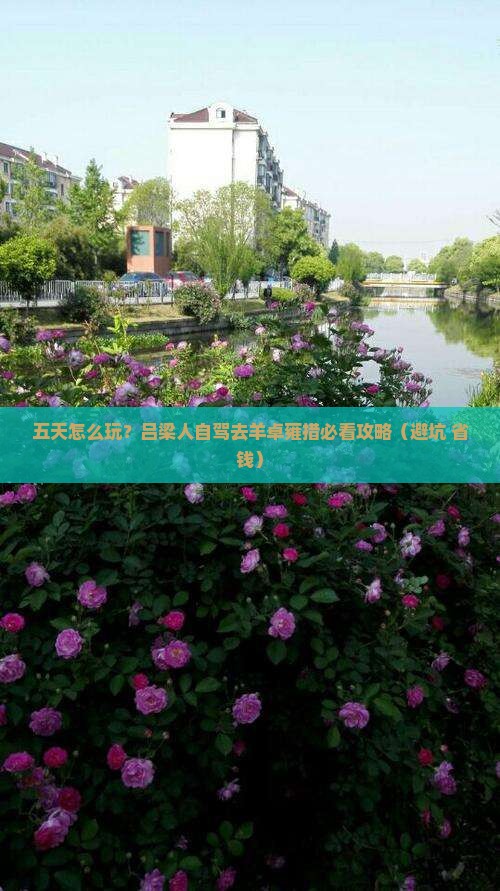吕梁到西藏羊卓雍措五日游