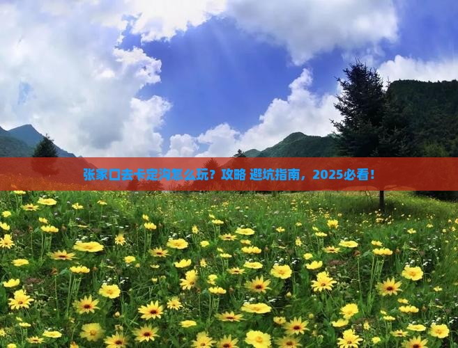 张家口去西藏卡定沟哪里玩