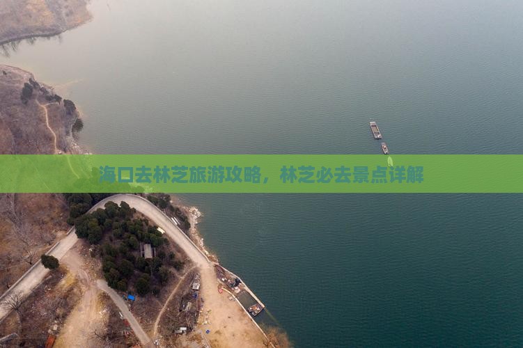 海口去西藏林芝哪里玩