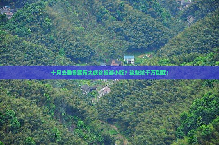 十月去西藏雅鲁藏布大峡谷旅游小吃