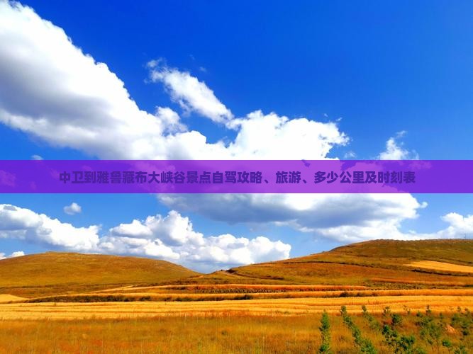 中卫到西藏雅鲁藏布大峡谷景点