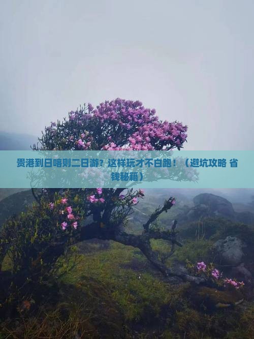贵港到西藏日喀则二日游
