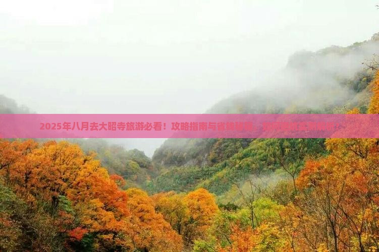 八月去西藏大昭寺旅游