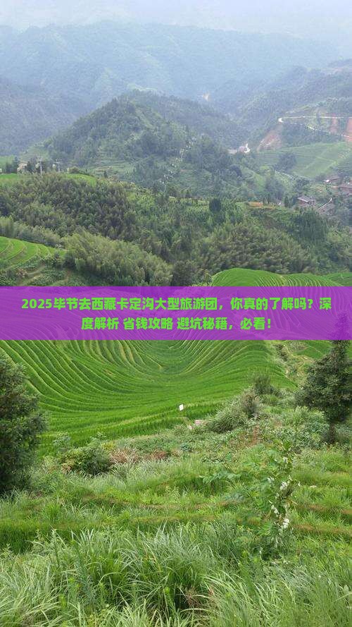 毕节去西藏卡定沟大型旅游团