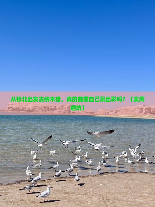 张北到西藏纳木措个人游